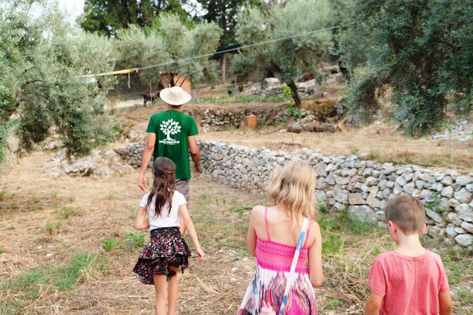 The Olive Oil Experience @ Lefkada Micro Farm - Repetitive Details