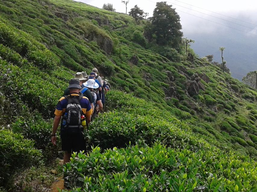 The Pekoe Trail, Stage 14,St. Catherine To Makulella - Directions