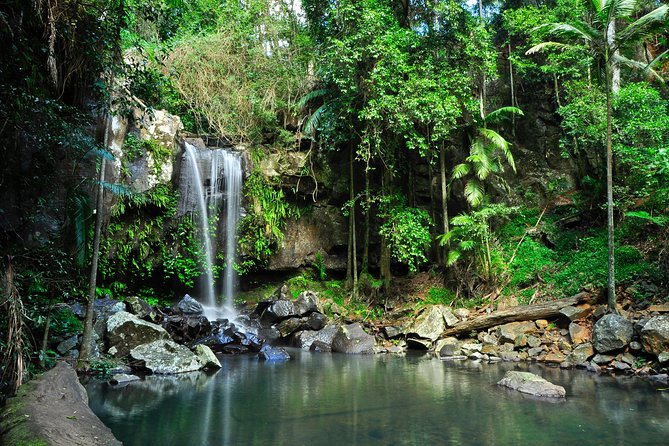 The Tastes of Tamborine Mountain - Relax on the Return Journey