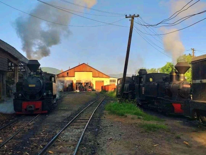 The Trains of Romania in 9 Days - Visit Peleș Castle