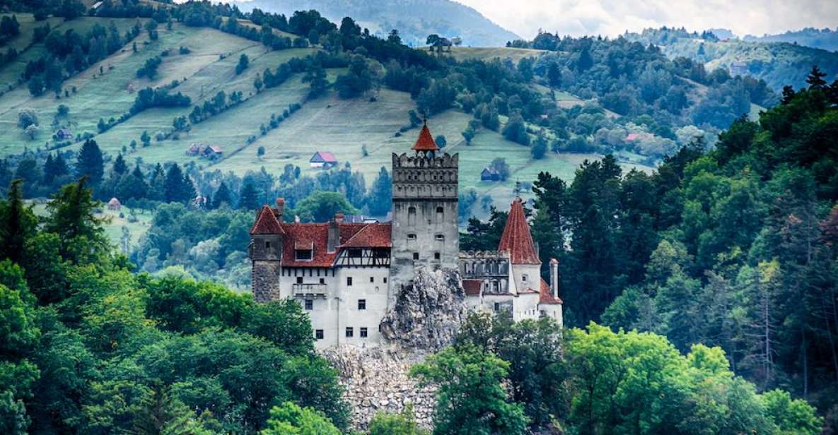 Three Castles in Transylvania Day Trip From Bucharest - Customer Reviews