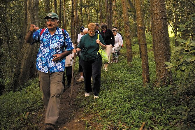 Three-Hour Guided Bushwalk With Breakfast, Cook Monument (Mar ) - Directions