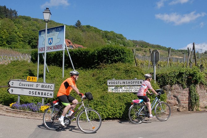 Through Alsace Vineyards and Wine Villages Private Bike Tour - Pricing Information