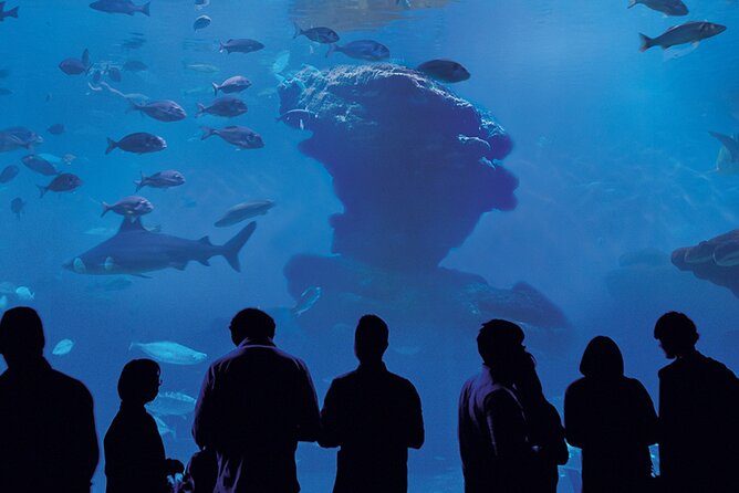 Ticket Palma Aquarium - Common questions