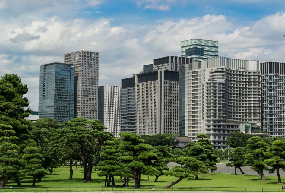 Tokyo: 1-Day Private Customizable Tour by Car - Common questions