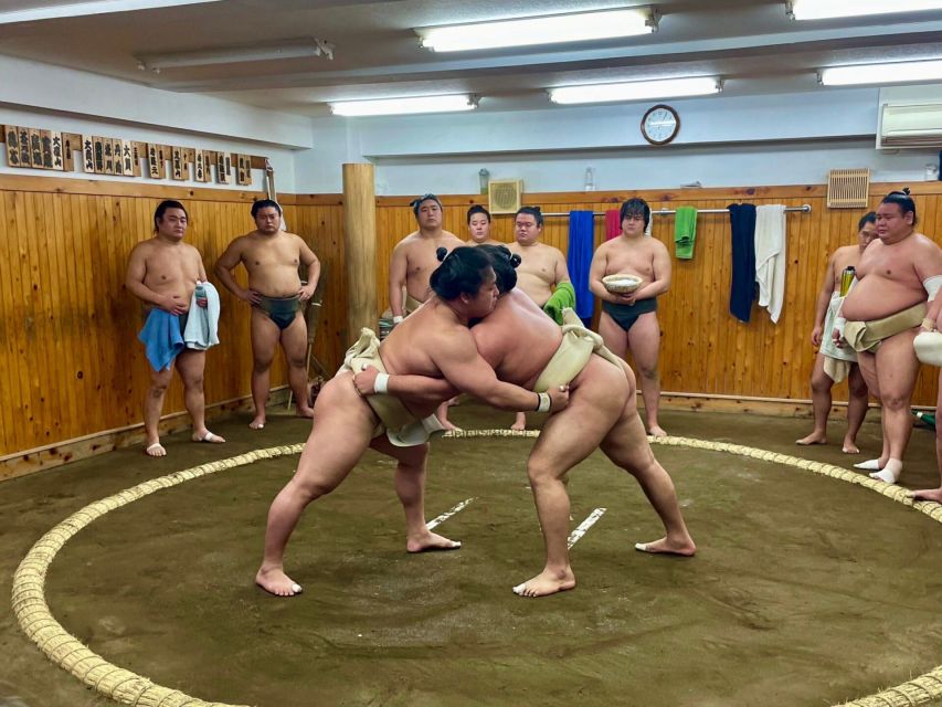 Tokyo: Sumo Wrestling Morning Practice With Live Commentary - Feedback and Recommendations