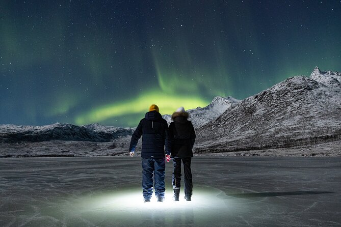 Tour in Search of the Northern Lights in Tromso - Reviews and Ratings