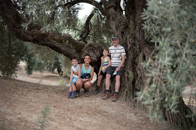 Tour of Olive Grove and Oil Mills With Oil Tasting - Exploring Historic Cazorla