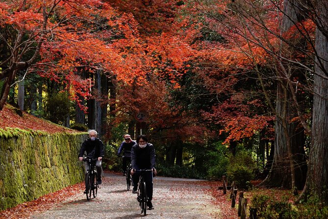 Traditional Kyoto Full-Day Bike Tour and Optional Sake Tasting - Tour Inclusions