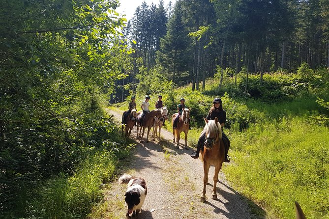 Trail Riding in the Gesaeuse National Park - Trail Riding Etiquette and Rules
