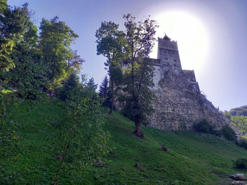 Transylvania: Dracula's Castle and Birthplace Tour - Flexibility and Payment