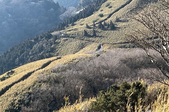 Traverse Outer Rim of Hakone Caldera and Enjoy Onsen Hiking Tour - Last Words