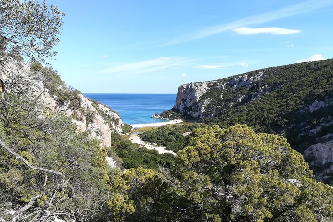 Trekking to Cala Luna the Pearl of the Gulf of Orosei - Common questions