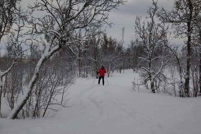 Tromso Cross Country Skiing for Beginners (Mar ) - Common questions
