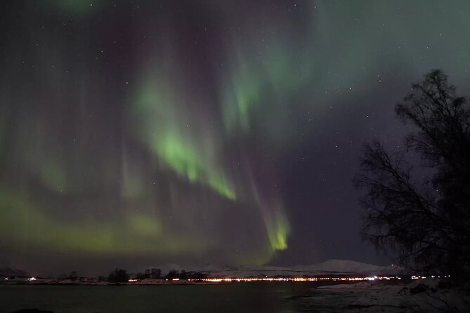 Tromsø Northern Lights Tour  - Tromso - Final Thoughts and Future Interactions