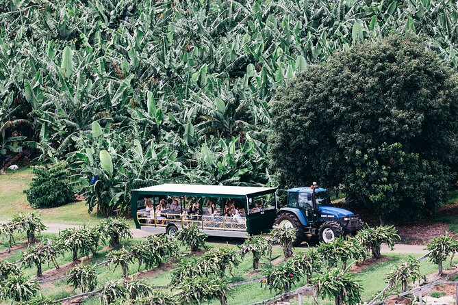 Tropical Fruit World Farm Full Tour - Common questions