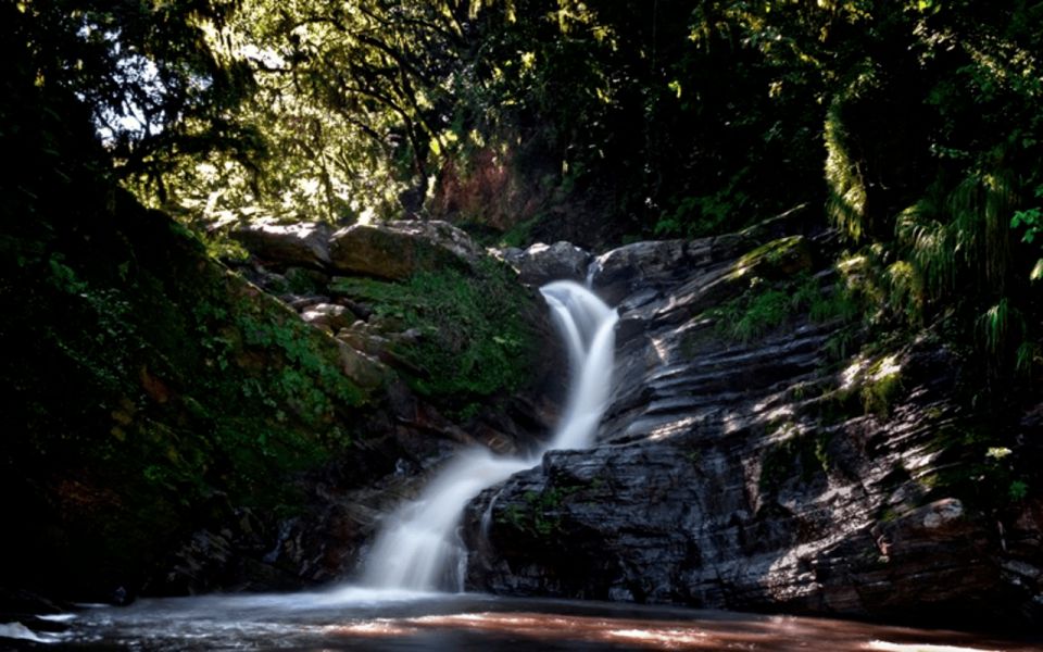 Tucumán: Yungas and Its Landscapes - Racos Enchanting Forests