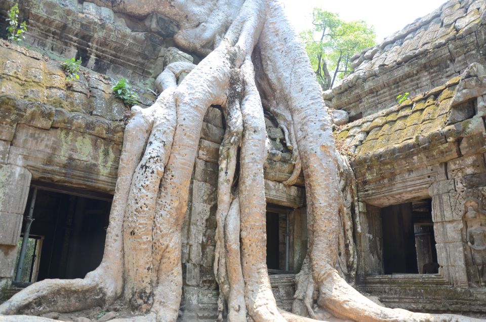 Two Day Angkor Sightseeing Tour From Siem Reap - Last Words