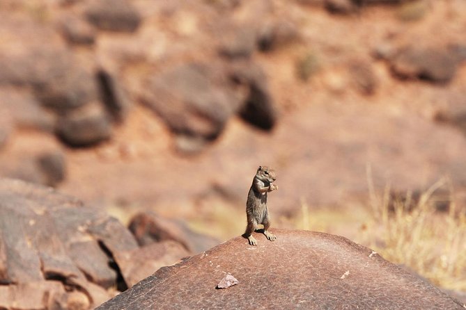 Two Days in the Zagora Desert, Drâa Valley From Marrakech - Last Words