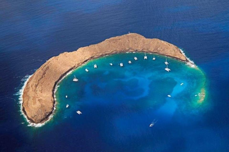 Two Stop Deluxe Molokini Snorkel - Meeting Point Information
