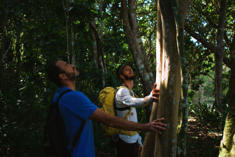 Ubatuba - Trail to 7 Beaches - Inclusions Provided