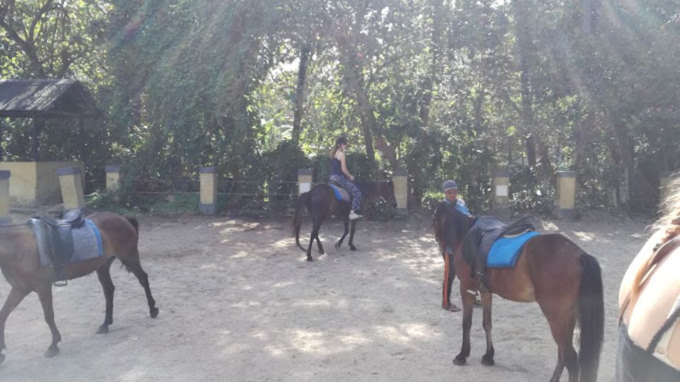 Ubud: 1 Hour Beach Horse Riding With Transfer - Directions