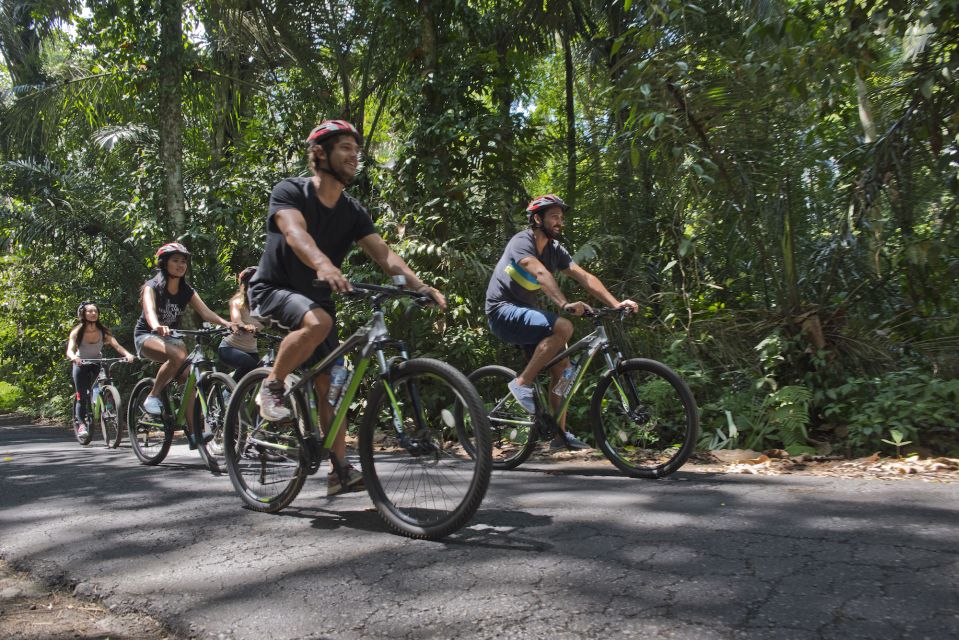 Ubud: Cycling, Jungle Buggies, and White Water Rafting - Activity Description