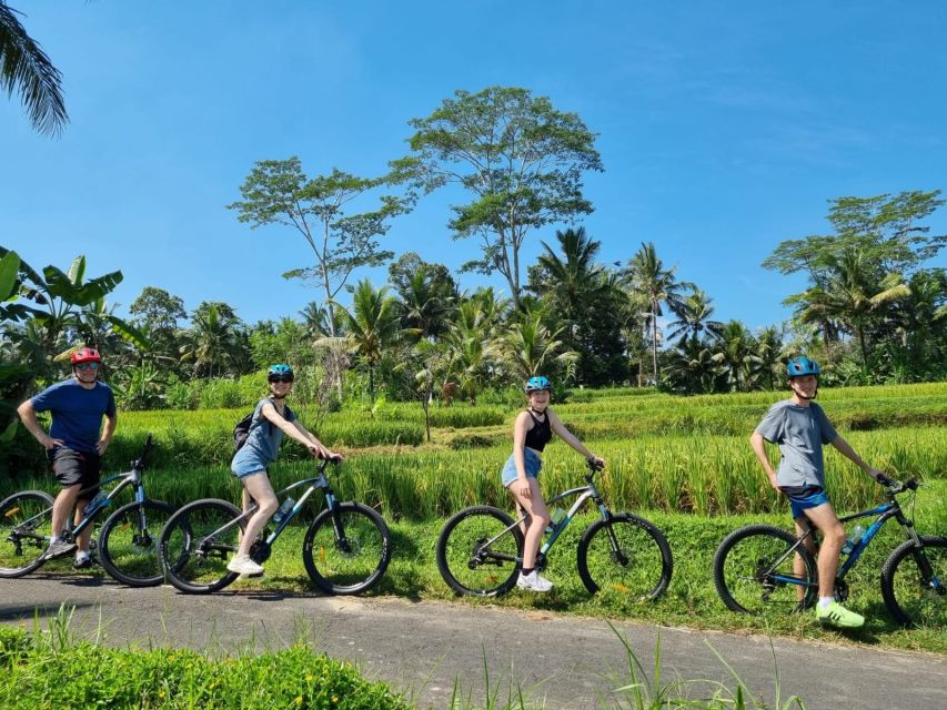 Ubud: Downhill Cycling With Volcano, Rice Terraces and Meal - Common questions