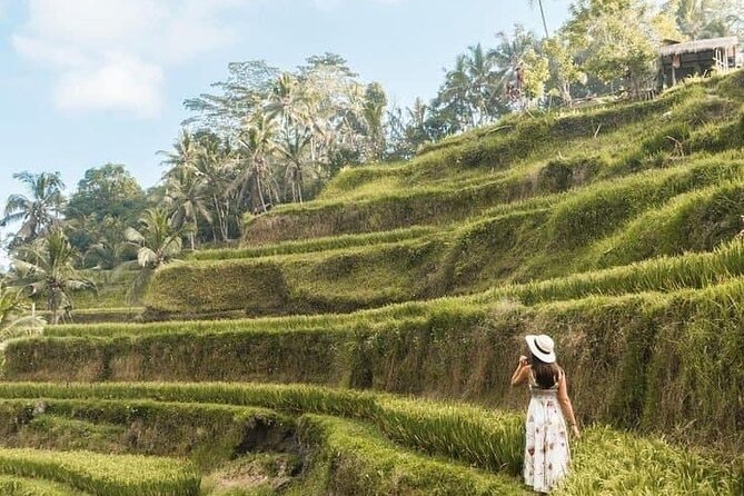 Ubud in a Day: Rice Terrace, Holy Water Temple, Waterfall, Arts - Common questions