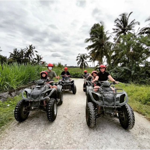 Ubud: Jungle, Waterfall, and Tunnel ATV Tour & Lunch Options - Customer Reviews