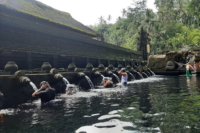 Ubud Private Transport-Only Tour With Stop at Rice Field Swing - Contact Information