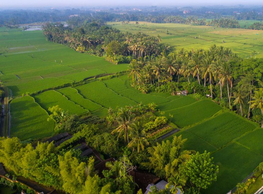 Ubud: Romantic Dinner Among the Rice Fields - Directions