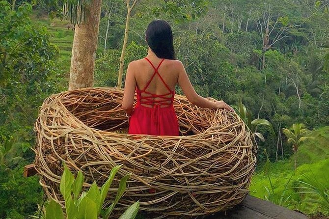 Ubud: Swing - Monkey Forest - Waterfall - Temple - Rice Terraces - Art Crafts - Common questions