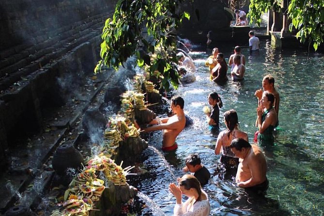 Ubud Trip, the Best of Ubud in a Day - All Inclusive - Transparency in Pricing and Inclusions