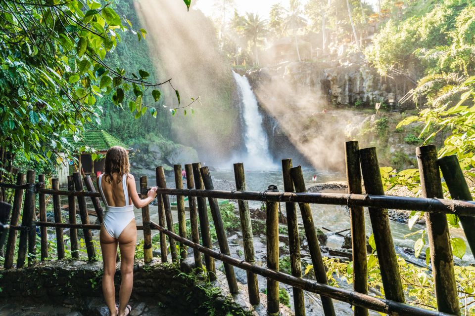 Ubud: Waterfall, Rice Terraces & Monkey Forest Private Tour - Activity Details