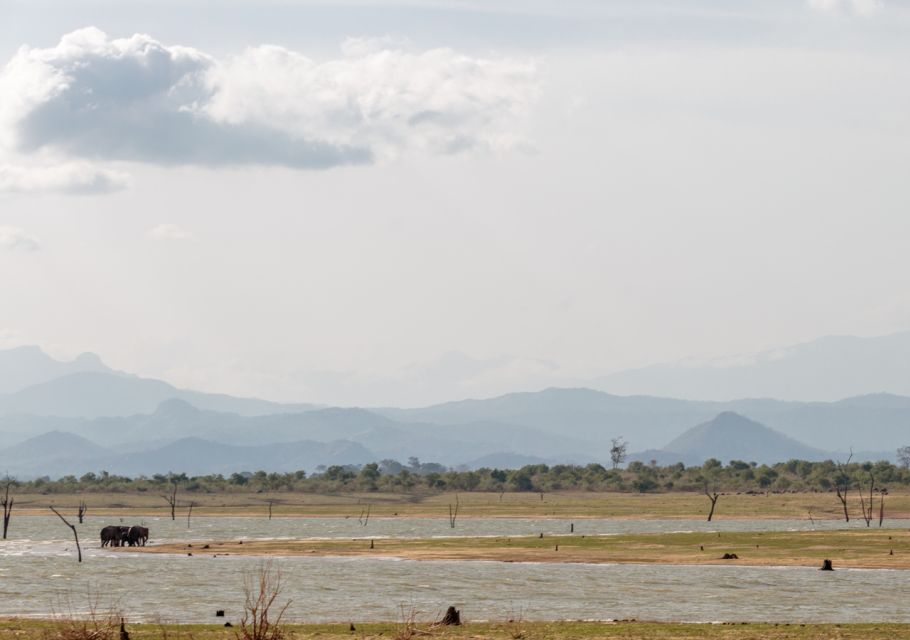 Udawalawe National Park Private Full-Day Safari - Payment and Reservation