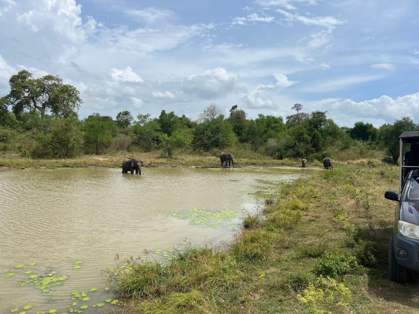 Udawalawe National Park Wildlife Safari From Hambantota - Common questions