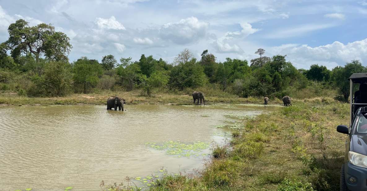 Udawalawe National Park Wildlife Safari From Mirissa - Comfortable Open-Top Jeep Exploration