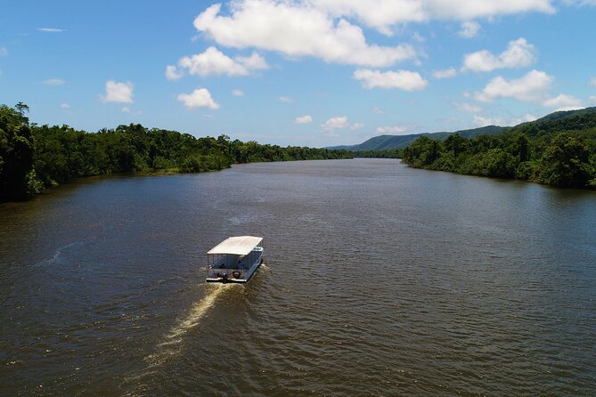 Ultimate Daintree Rainforest Wildlife Experience Cruise - Meeting Point and Location