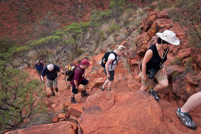 Uluru, Kata Tjuta and Kings Canyon Camping Safari From Alice Springs - Customer Recommendations