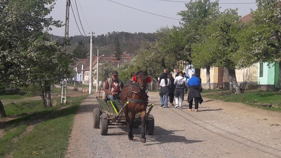 Unesco Tour: Sighisoara, Viscri, and Rupea From Brasov - Additional Facts and Information