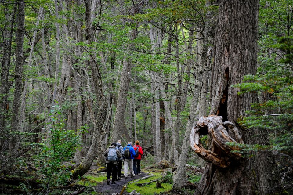 Ushuaia: Tierra Del Fuego National Park Tour With Lunch - Additional Information