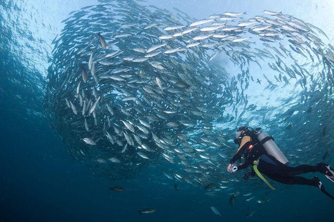 USS Liberty Shipwreck Scuba Diving at Tulamben Bali - Traveler Photos and Reviews Highlights