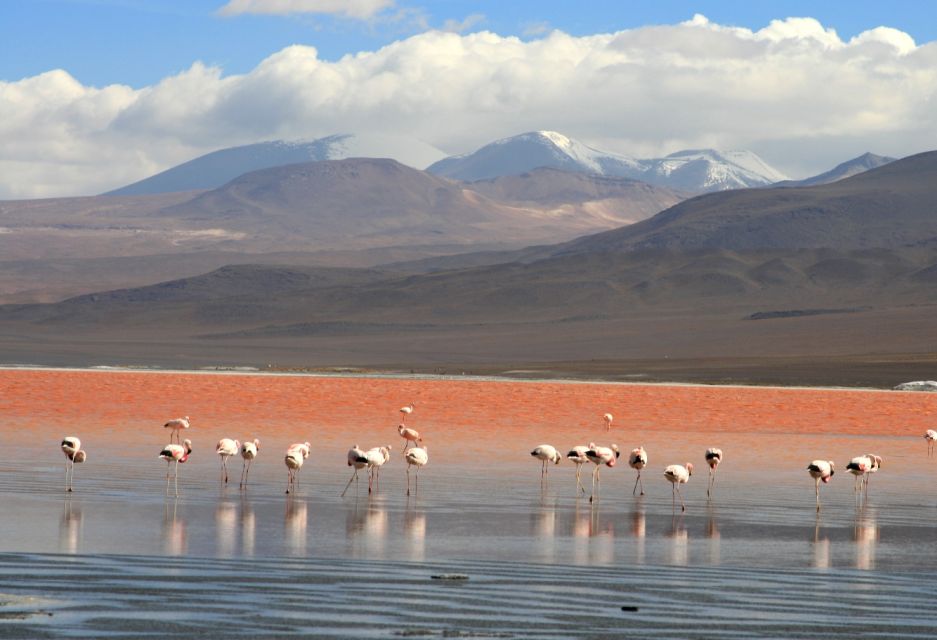 Uyuni Salt Flats and Red Lagoon 3-Days English in Guide - Common questions