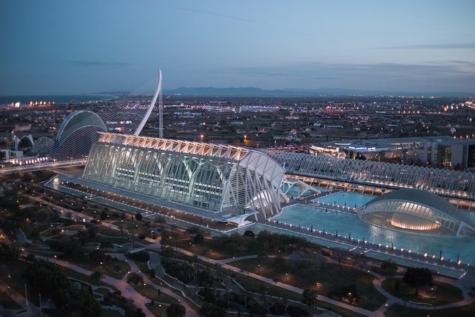 Valencia City of Arts & Sciences Tour With Rooftop Wine Tasting and Tapas - Rooftop Wine Tasting Experience