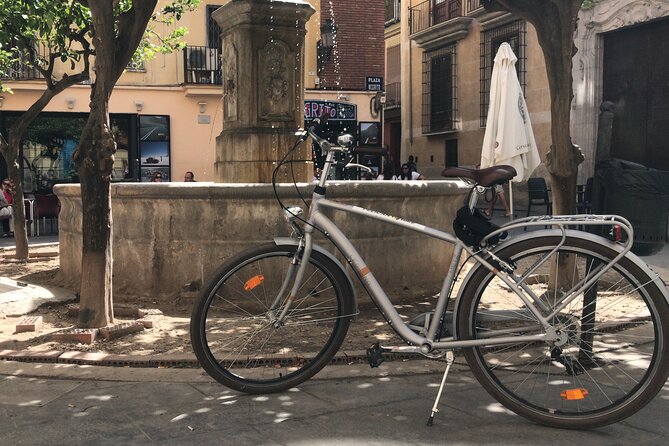 Valencia Old Town Private Bike Tour - Common questions