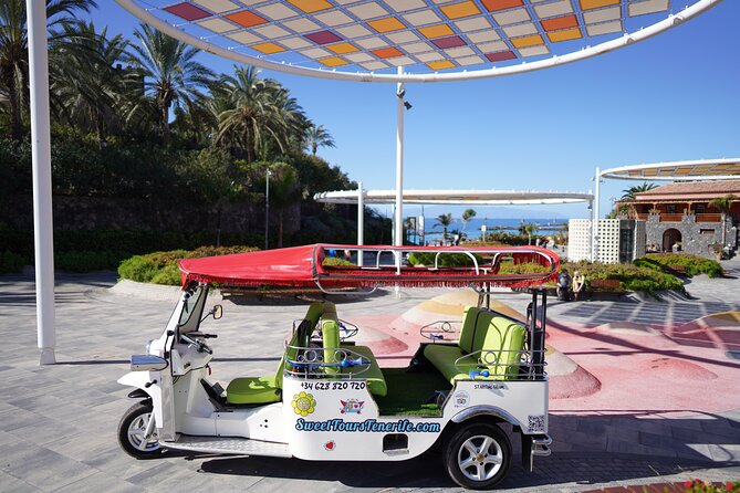 Views & Drinks Tour by Tuk Tuk in Costa Adeje - Highlights and Challenges