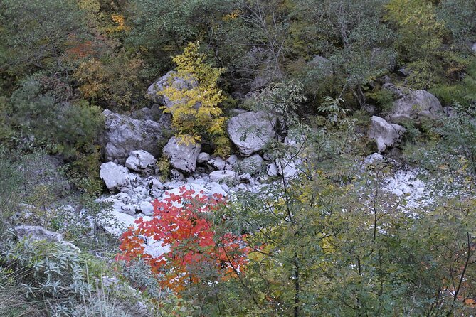 Vikos Gorge Guided Full-Day Hike (Mar ) - Cancellation and Refund Policy