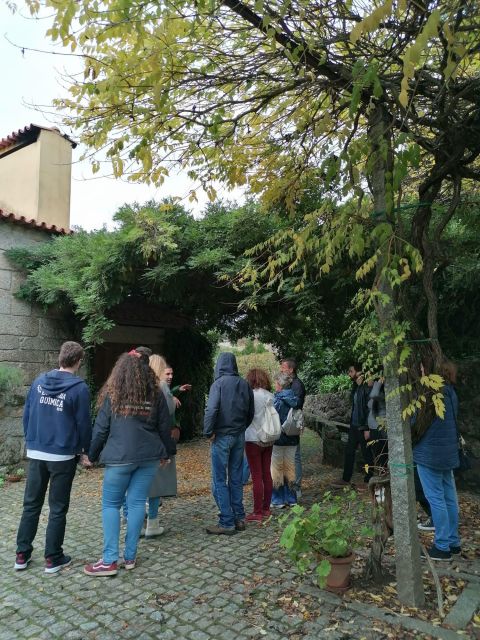 Vinho Verde Private Wine Tour - Unveil History