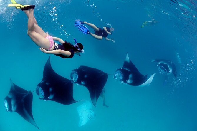 VIP Private Boat to Nusa Penida: Snorkeling With Mantas Land Tour Adventure - Viators Copyright and Terms